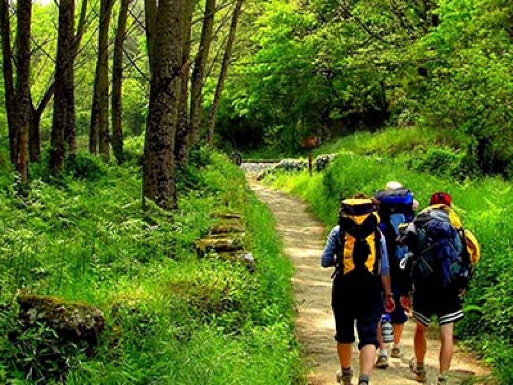 Los últimos 100 km del Camino de Santiago