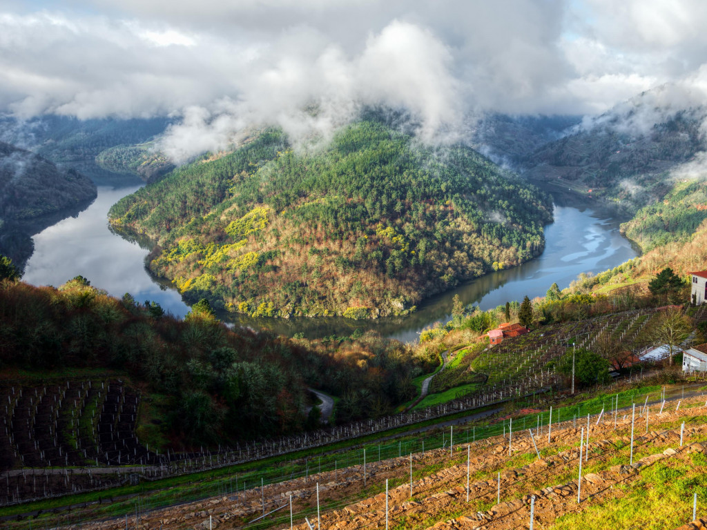 Ribeira Sacra: landscapes, art and viticulture. 