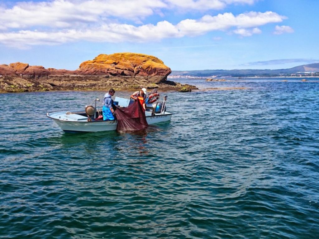 Excursión Rías Baixas y paseo en barco.