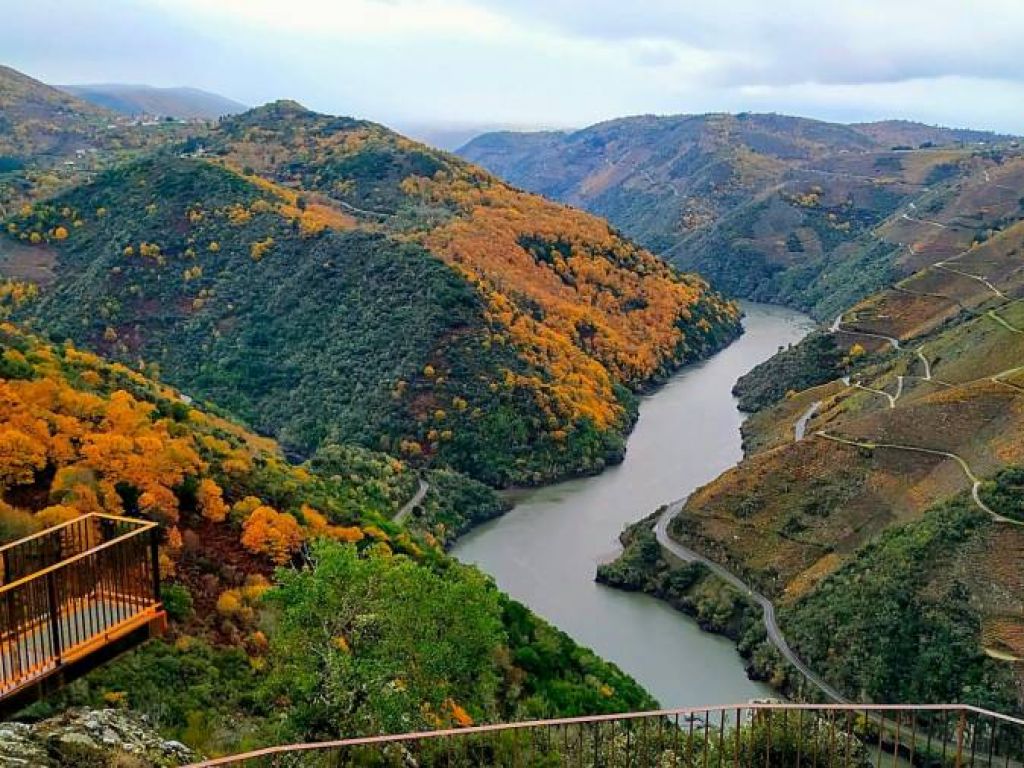 Excursión por la Ribeira Sacra