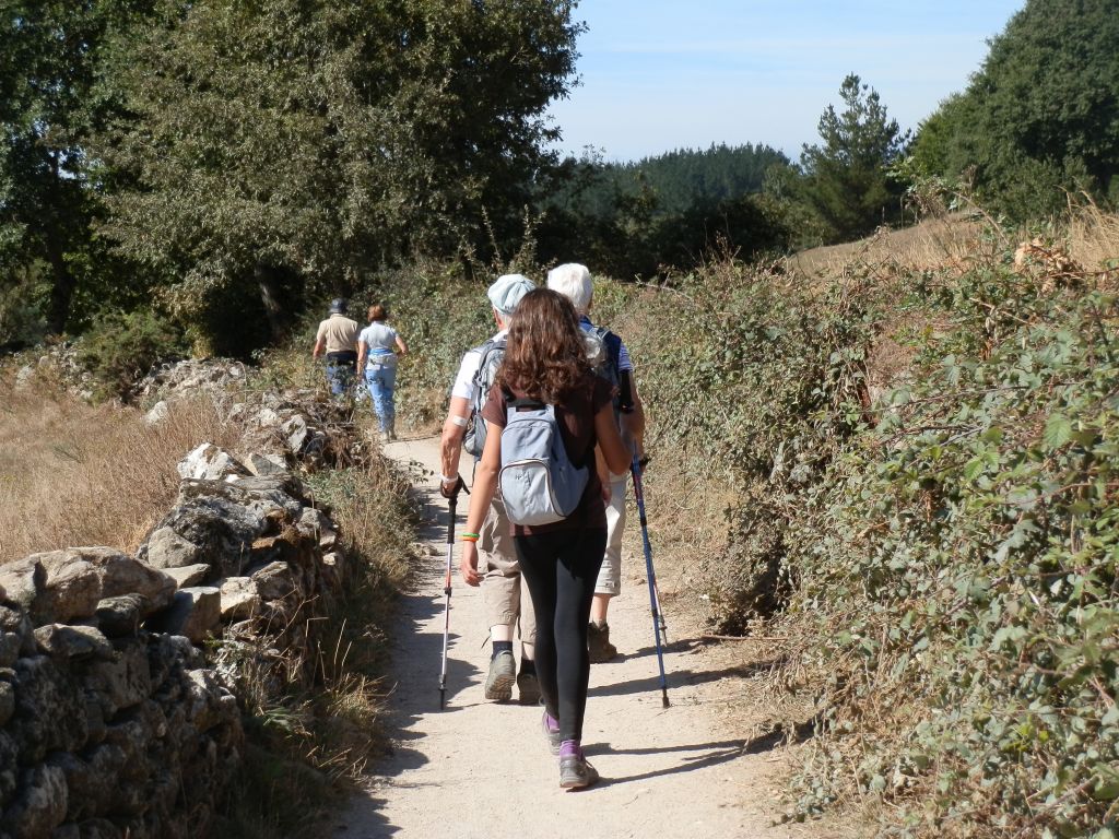 Camino Vía de la Plata from Ourense