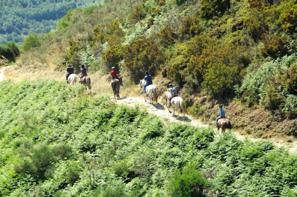 One jorney on the "Pilgrim´s Way" on horseback