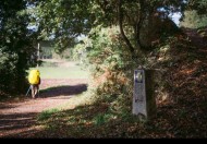 Ruta de Lugo y Camino de Santiago