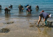 Guimatur, a tribute to Galician shellfish gatherers