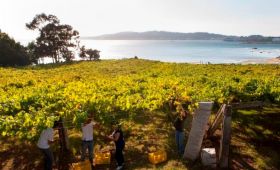 Rías Baixas, la costa gallega con Denominación de Origen